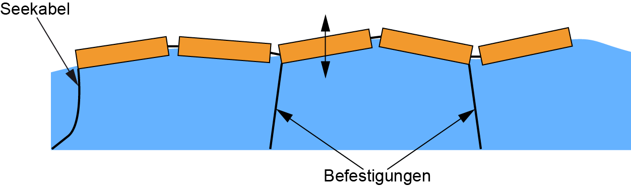 Pelamis
